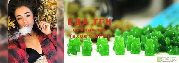 гашик Верея