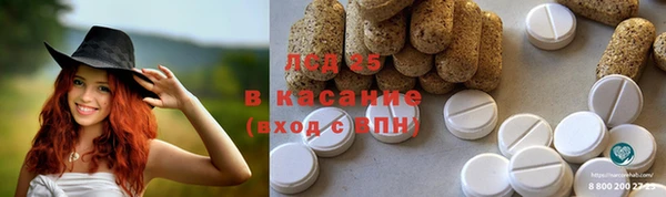 гашик Верея