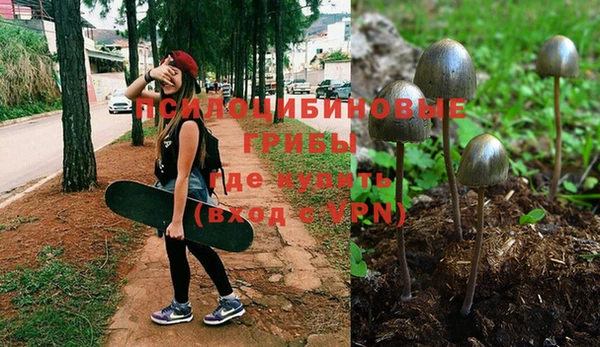 гашик Верея
