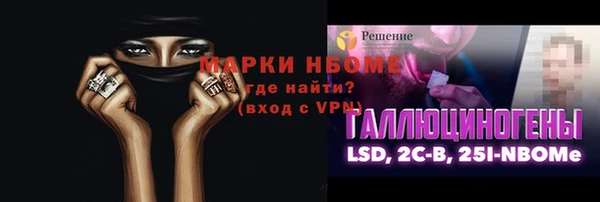 гидра Верхний Тагил