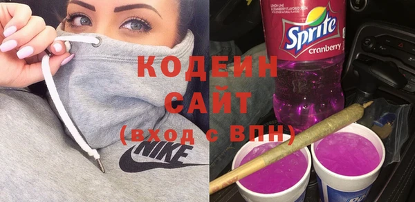 хмурый Бородино