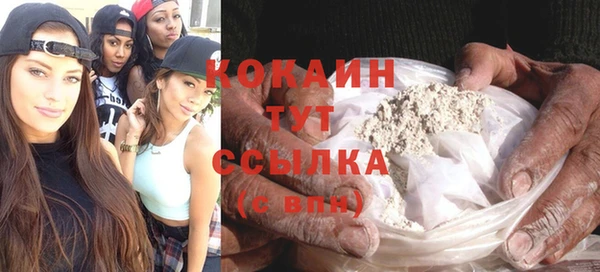 бошки Бронницы