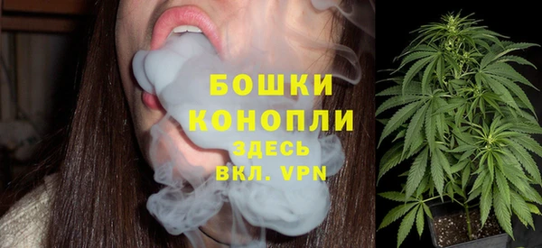 гидра Верхний Тагил