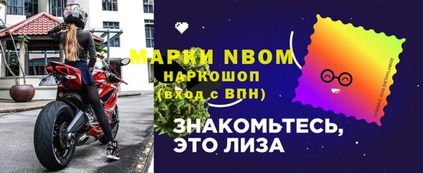 хмурый Бородино