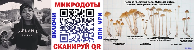 Псилоцибиновые грибы Magic Shrooms  наркошоп  Верея 